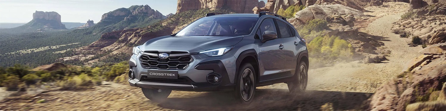 Subaru Global Placeholder Banner