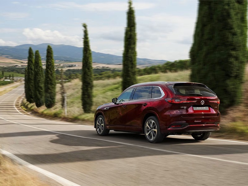 75 Plate Launch: What It Means and Why Now’s a Great Time to Buy