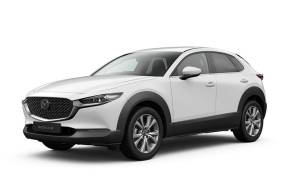 MAZDA CX 30 HATCHBACK at Nunns of Grimsby Limited Grimsby